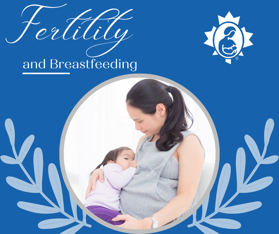 Fertility and Breastfeeding