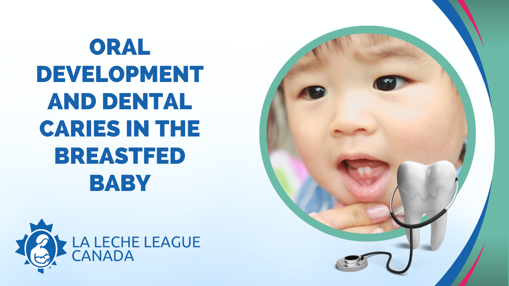 Oral Development