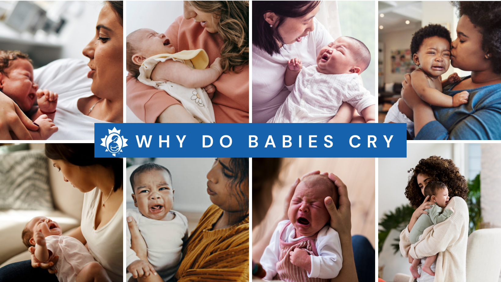 Why do babies cry