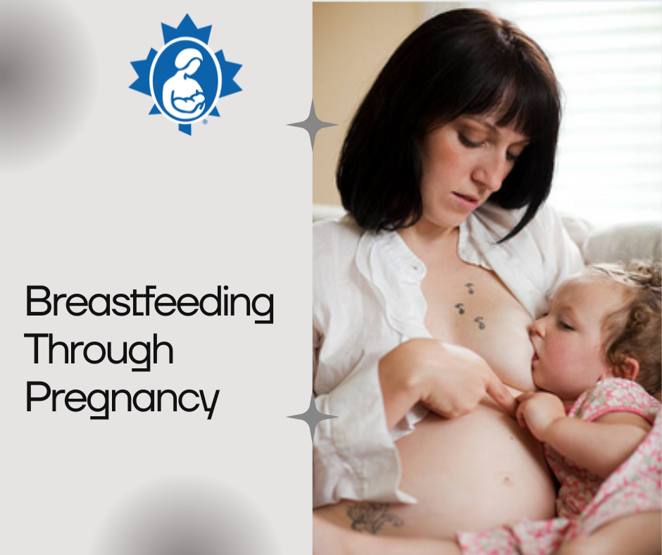 Breastfeeding through pregnancy