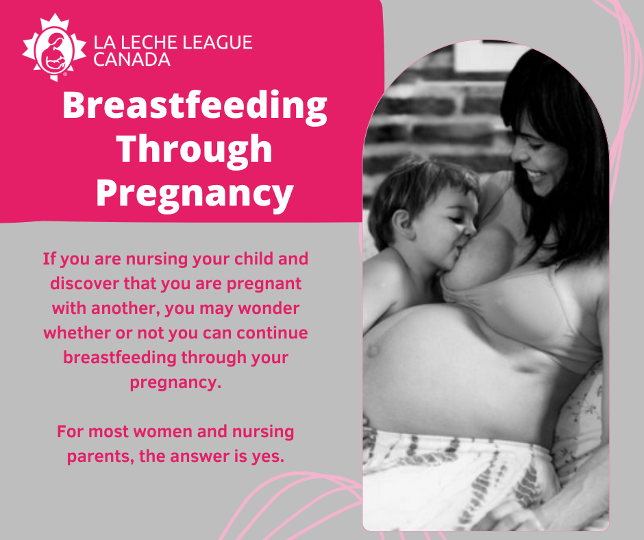 Breastfeeding through pregnancy