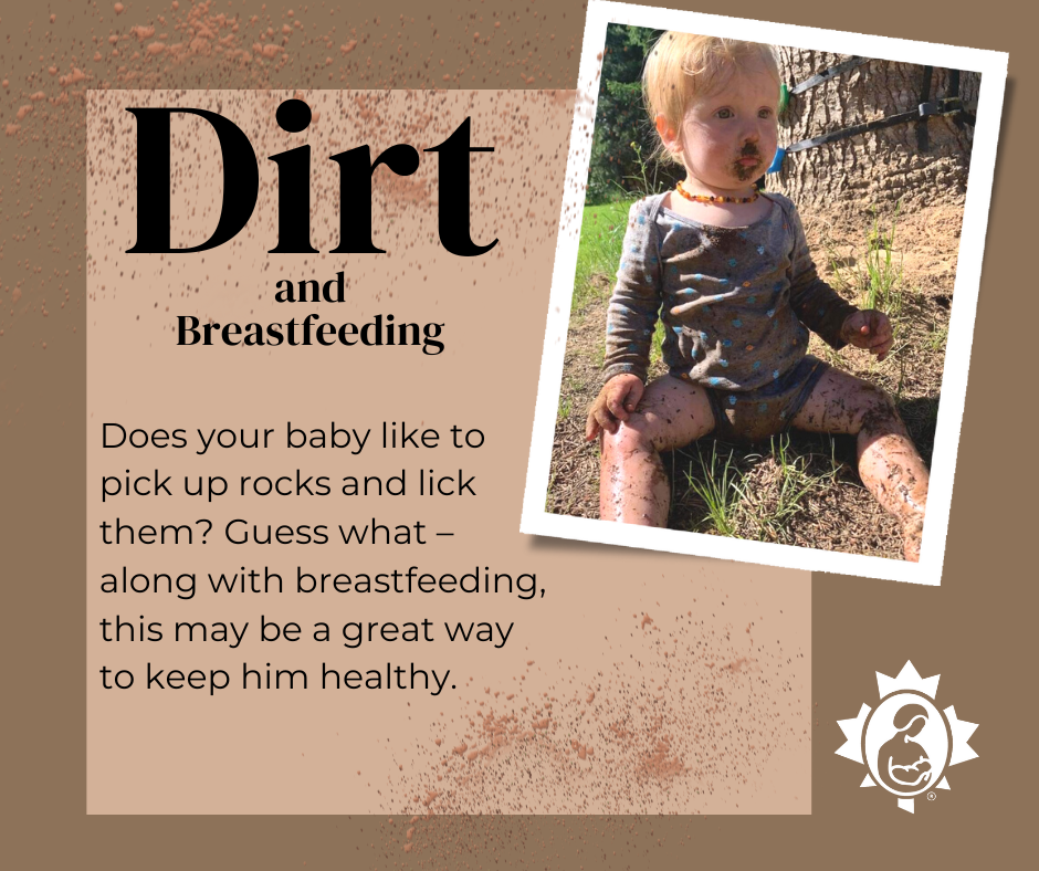 Dirt and Breastfeeding
