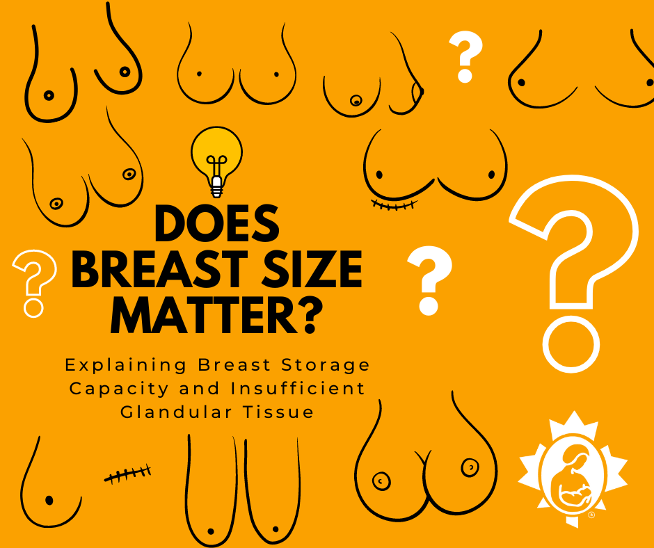 Does Breast Size Matter