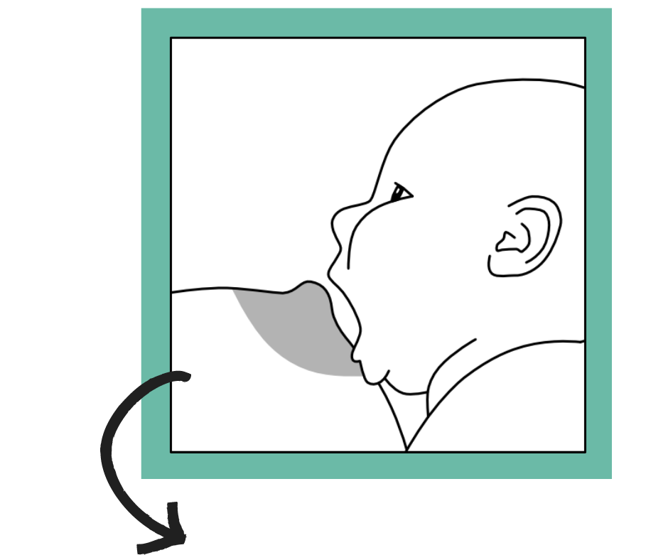 Positioning and Latching | La Leche League Canada