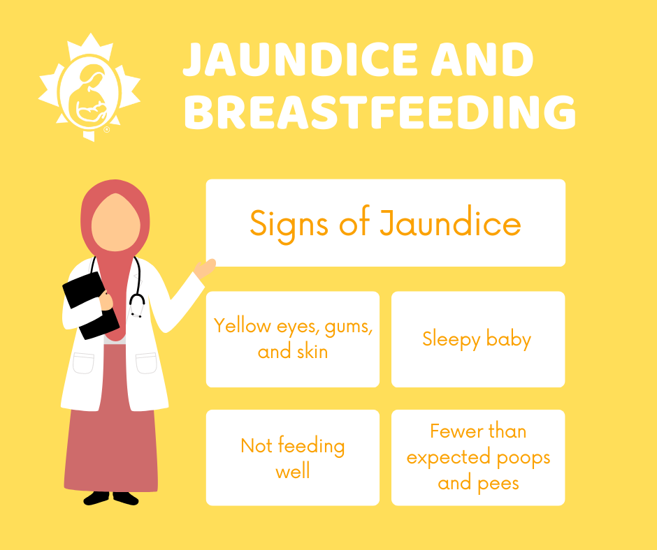Jaundice and breastfeeding