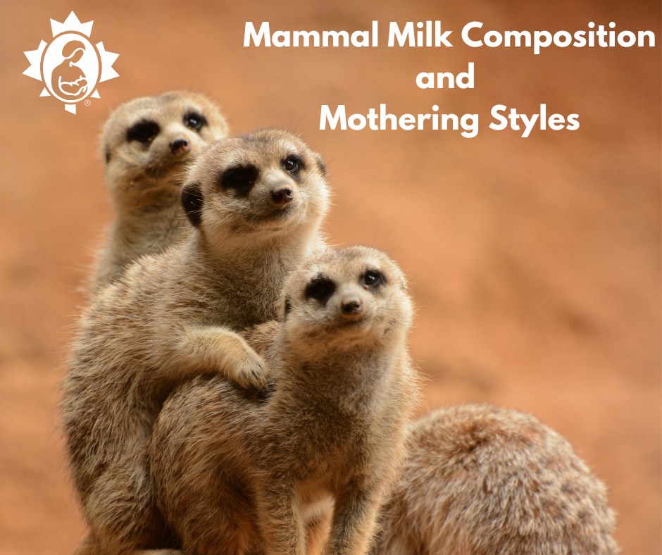 Mammal Milk Composition and Mothering Styles