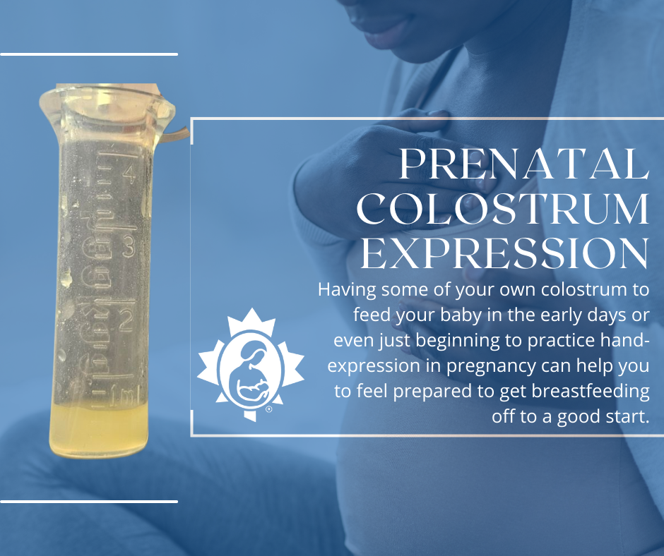 Prenatal Colostrum