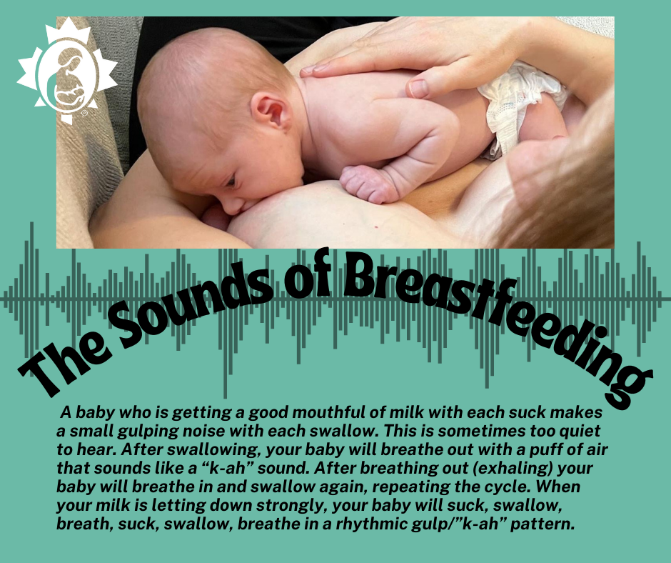 Sounds of breastfeeding