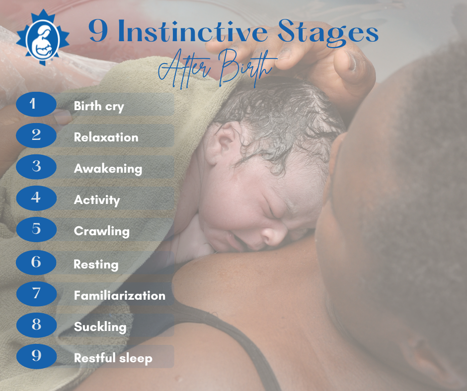 9 instinctive stages