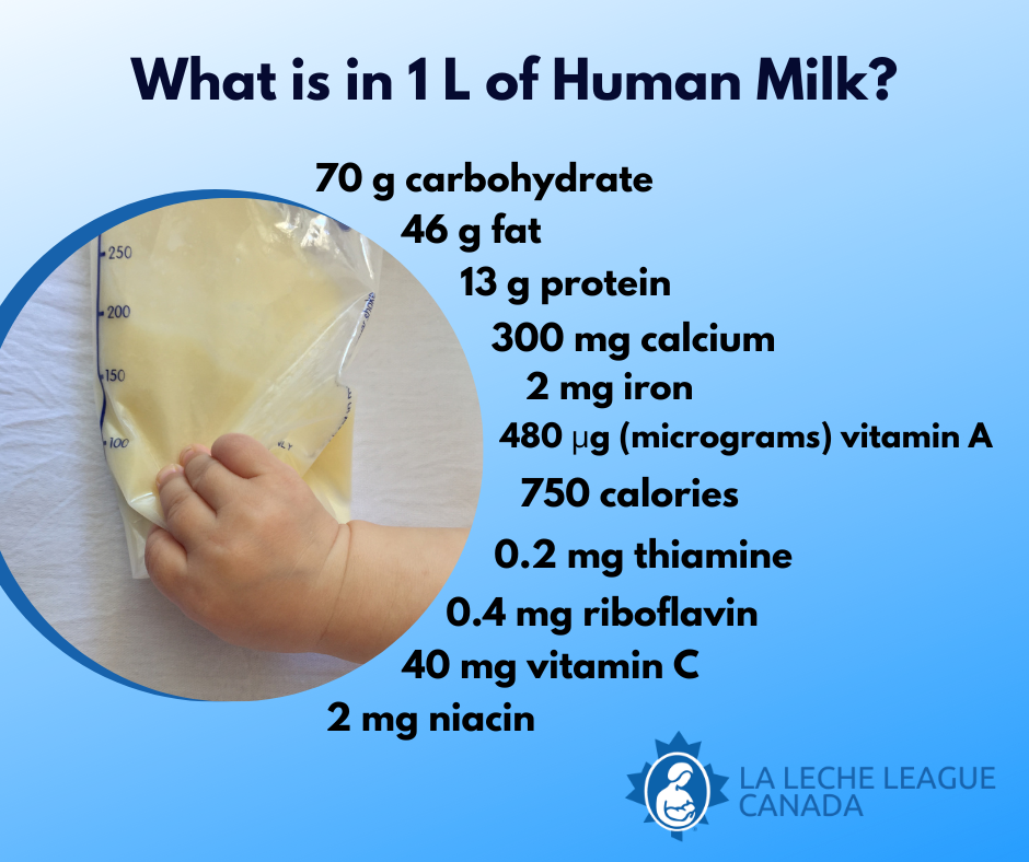 Ingredients of Breast Milk